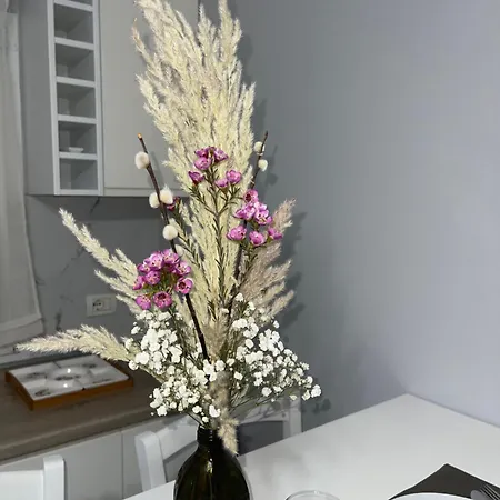 Nn With Balcony 1 Lägenhet Tirana