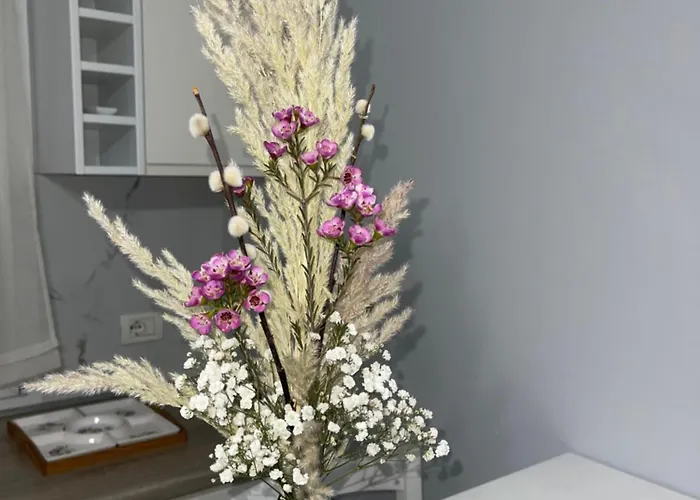 Nn With Balcony 1 Apartment Tirana